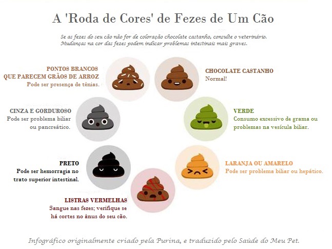 infográfico meu cachorro está com diarreia