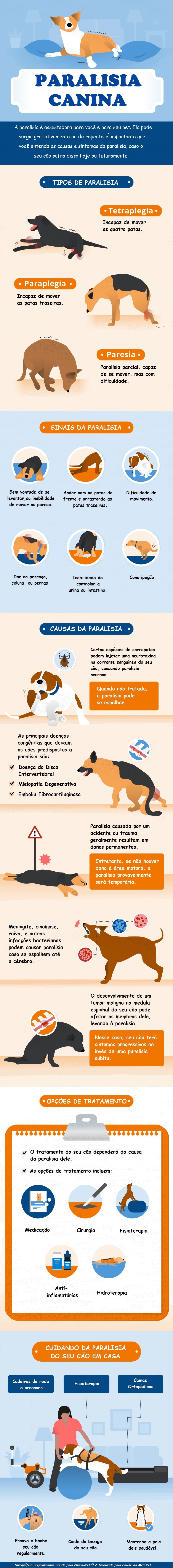 infográfico sobre paralisia canina